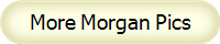 More Morgan Pics